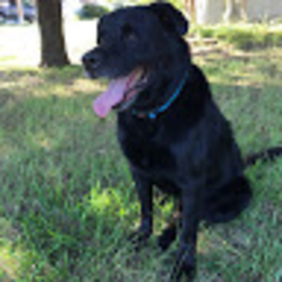 Meet your Posher, Mona - Picture 7 of 9